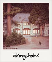 Vikingsholm!