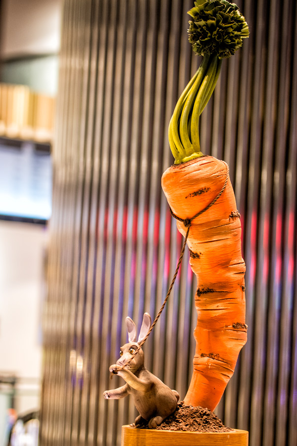 Bunny lasso carrot photo