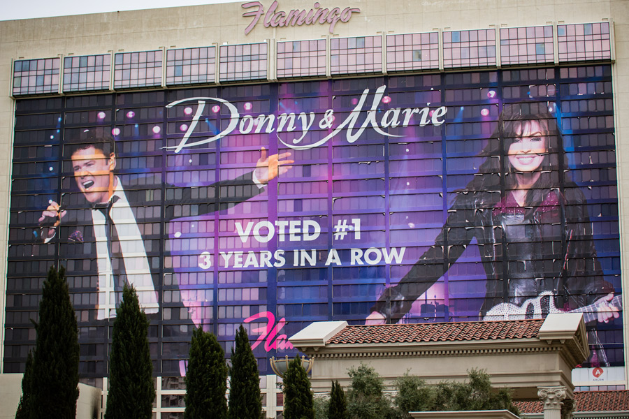 Donnie and Marie Flamingo photo