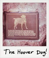 Hoover dog!