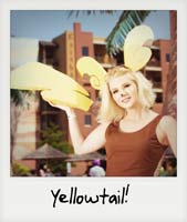Yellowtail!