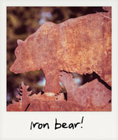 An iron bear!