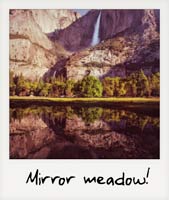Mirror meadow!