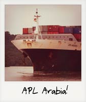 APL Arabia!