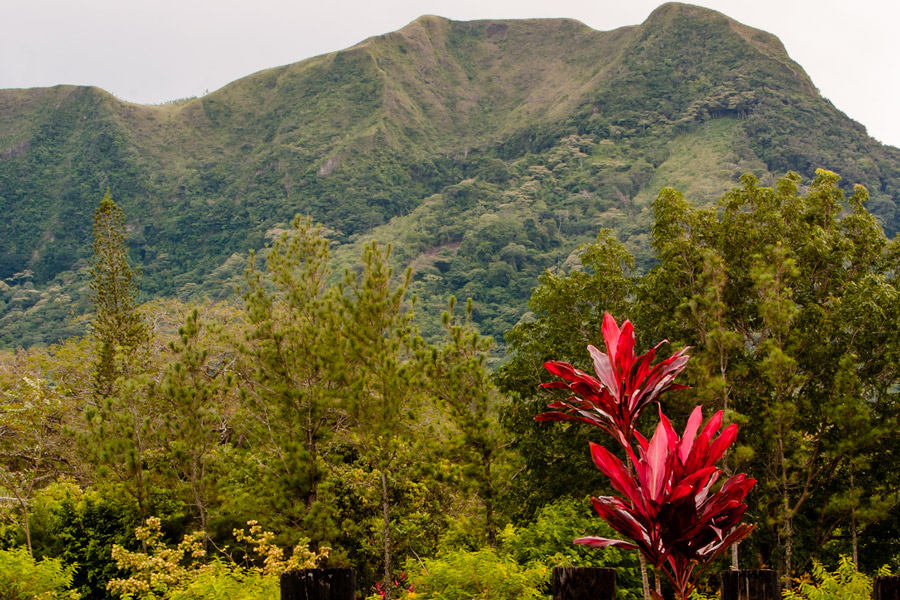 red and green hill photo