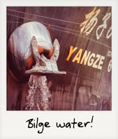 Bilge Water!