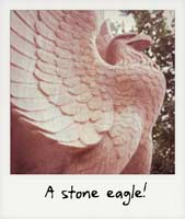 A stone eagle!
