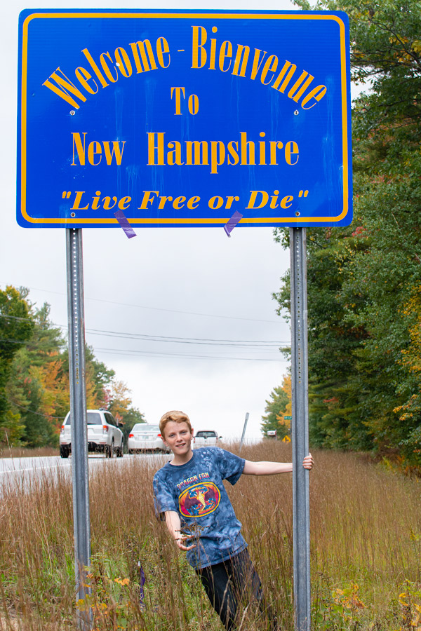 Live free or die sign photo