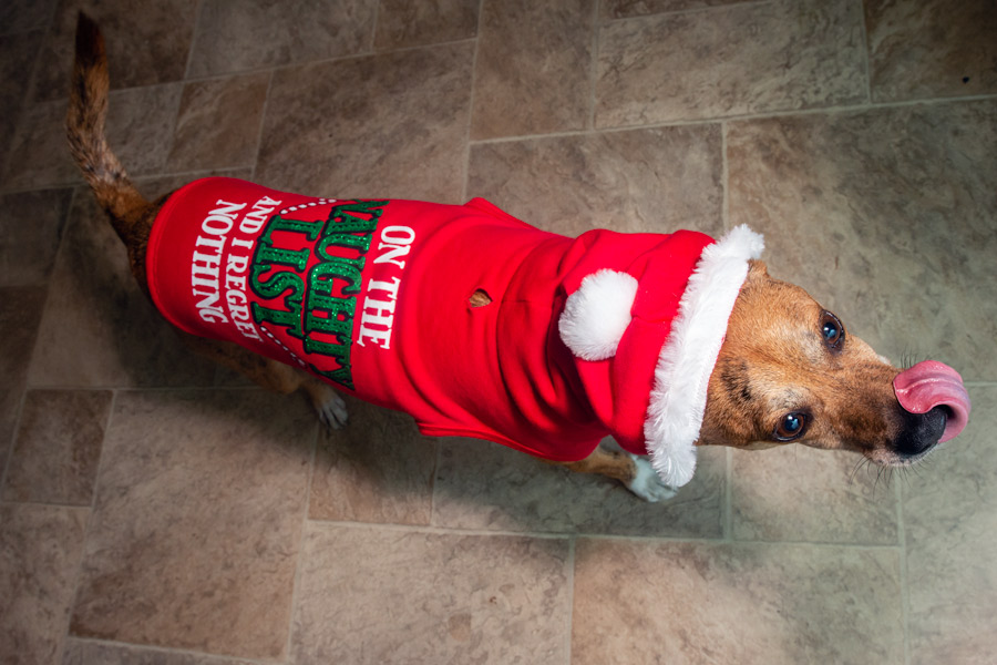 Maverick sweater photo