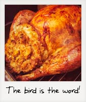 The bird is the word!