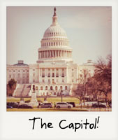 The Capitol!