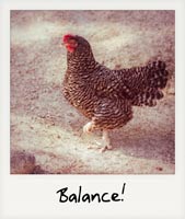 Balancing!