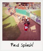 Pied Splash!