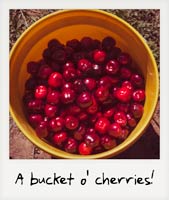 A bucket of cherries!