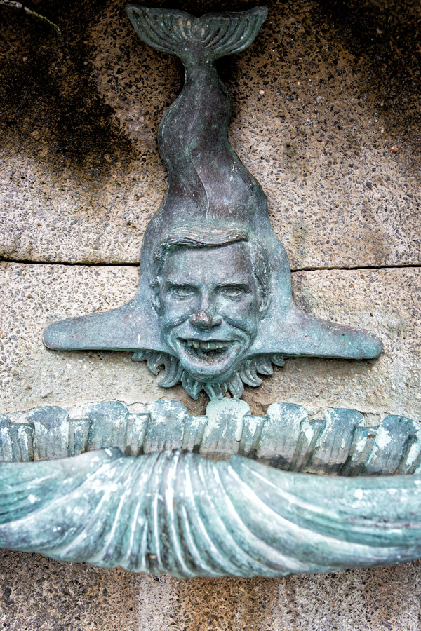 Creepy shark-man photo