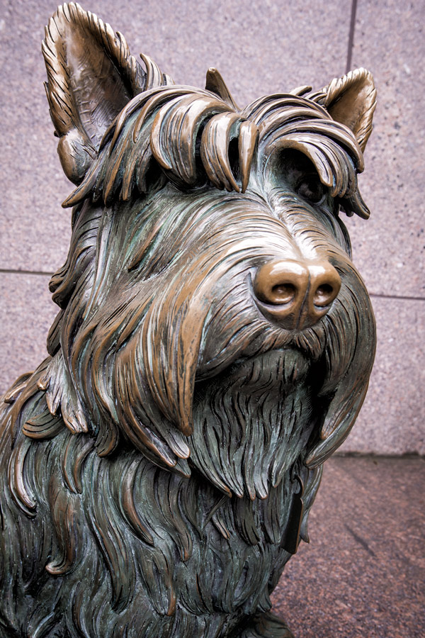Dog statue photo