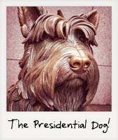 A Presidential Dog!
