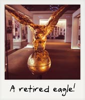 A retired eagle!