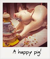 A happy pig!