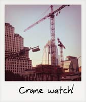 Crane watch!