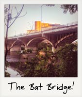 The Bat Bridge!