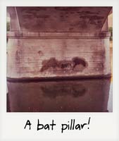 A bat pillar!