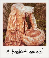 A basket hound!