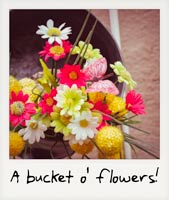 A bucket o' flowers!