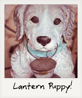 Lantern puppy!