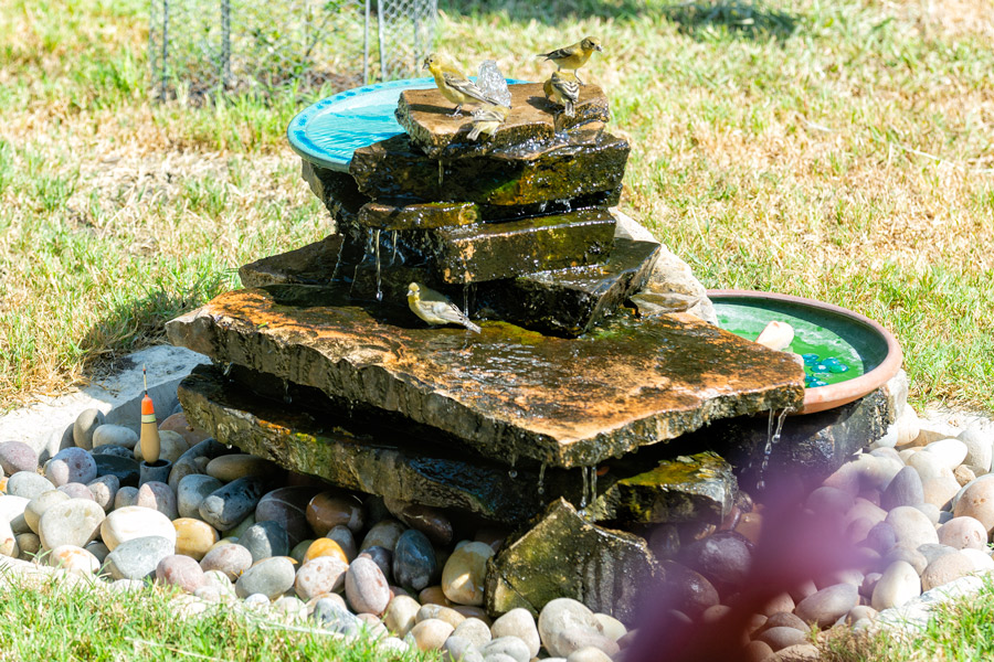 Birdbath photo