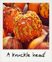 Knuckle Head!