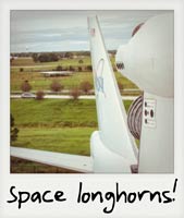 Space longhorns!