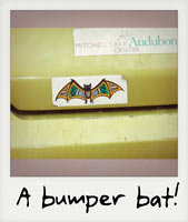 A bumper bat!