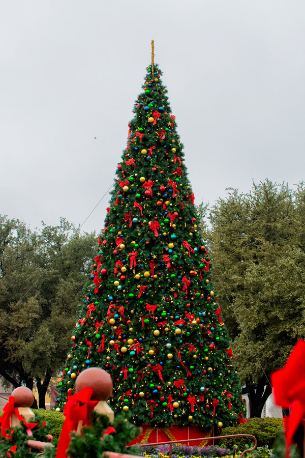 Stockyard Christmas tree photo