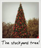 The Stockyard tree!