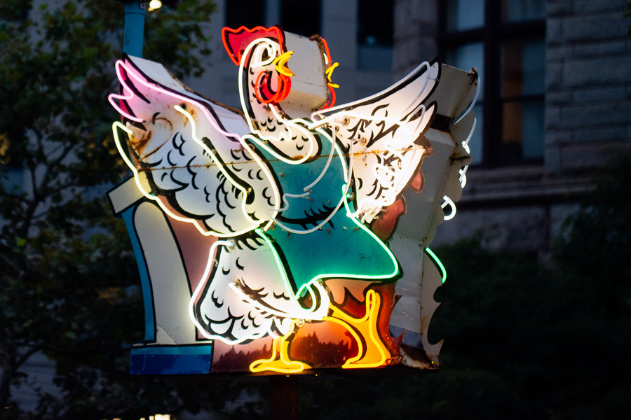 Dancing chicken photo