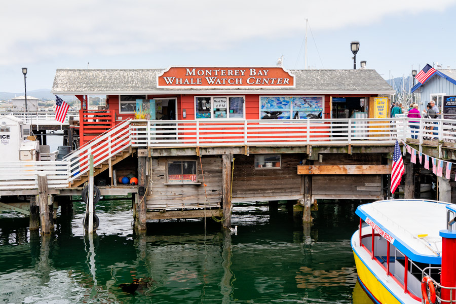 Whale Watch Center photo