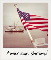 American shrimp!