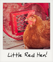 Little Red Hen!