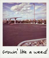 Growin' like a weed!