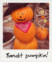 Bandit pumpkin!