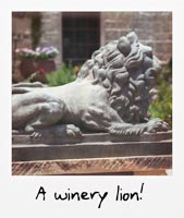 A winery lion!