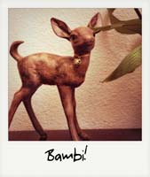 Bambi!