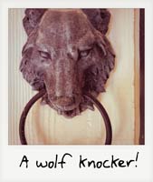 A wolf knocker!