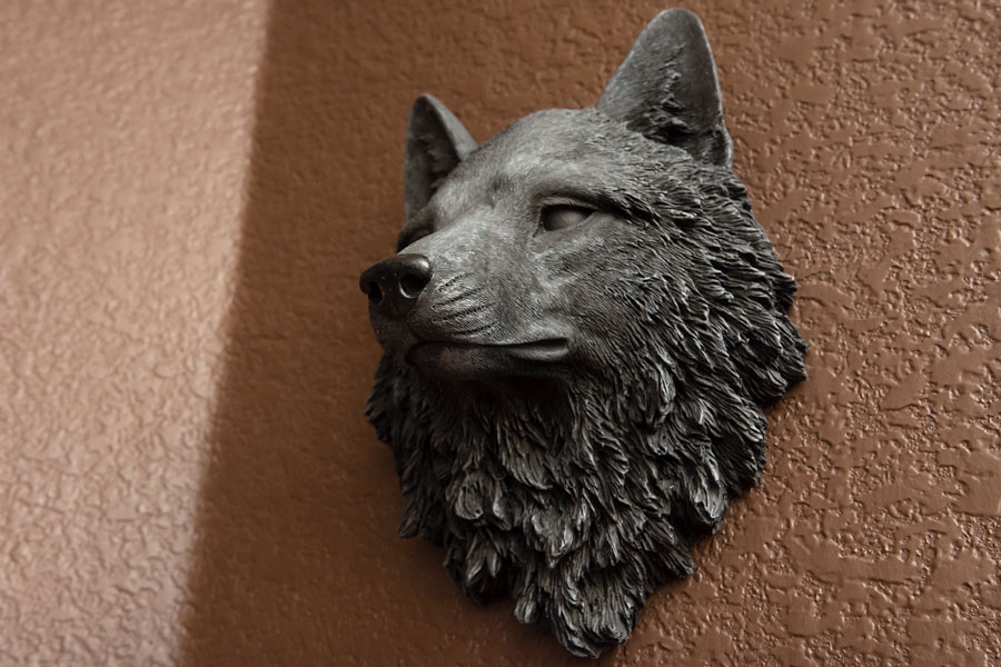 Wolf head photo