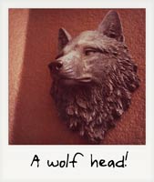 A wolf head!