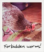 Forbidden worms!