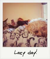 Lazy day!