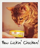 Paw lickin' chicken!