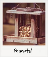 Peanuts!